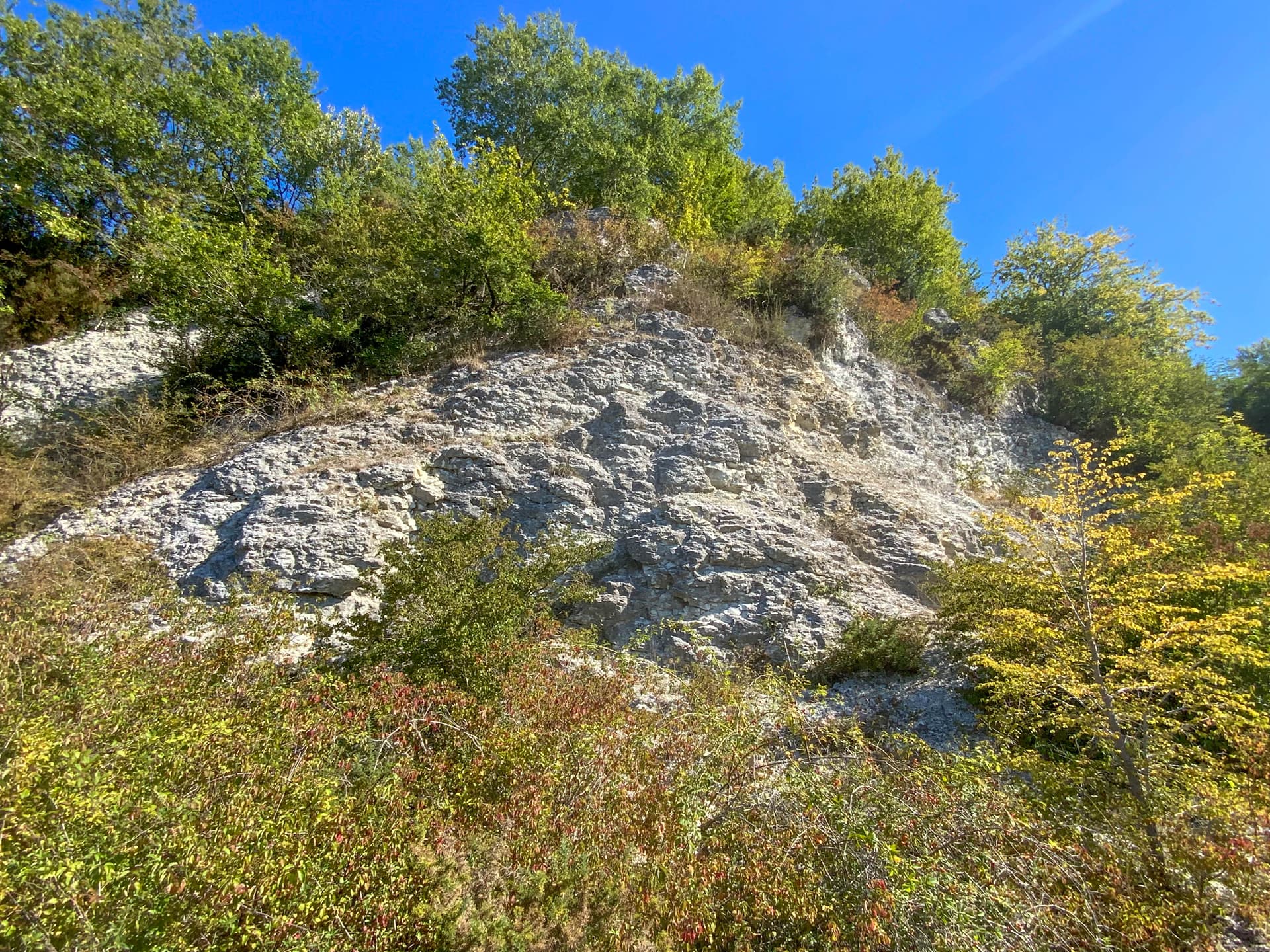 Réserve naturelle régionale géologique de Tercis-les-Bains — Géopédies, 29 août 2021